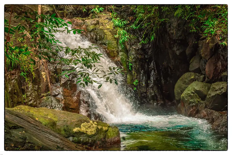 A waterfall in full flow over dark rock into a green plunge pool surrounded by jungle