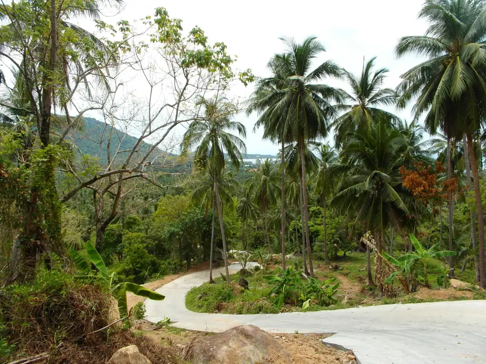 Car Hire on Koh Samui, Thailand