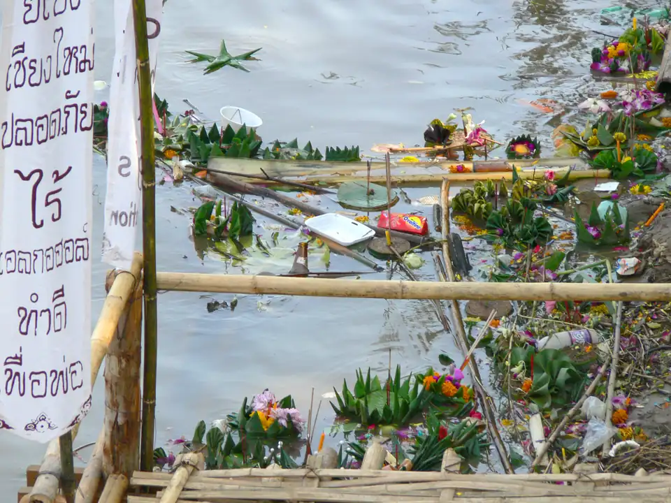 Krathongs, polystyrene trays and bottles collected against a bamboo boom on a river the next morning