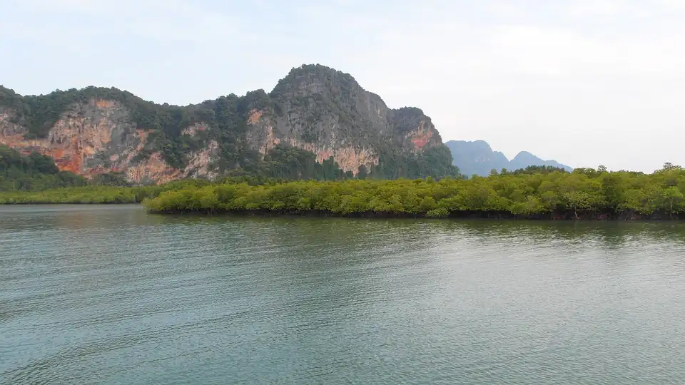 Limestone rising behind the mangroves in Phang Nga bay