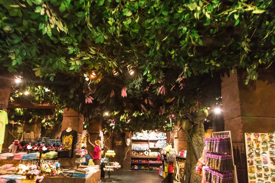 A shop in the park's shopping village