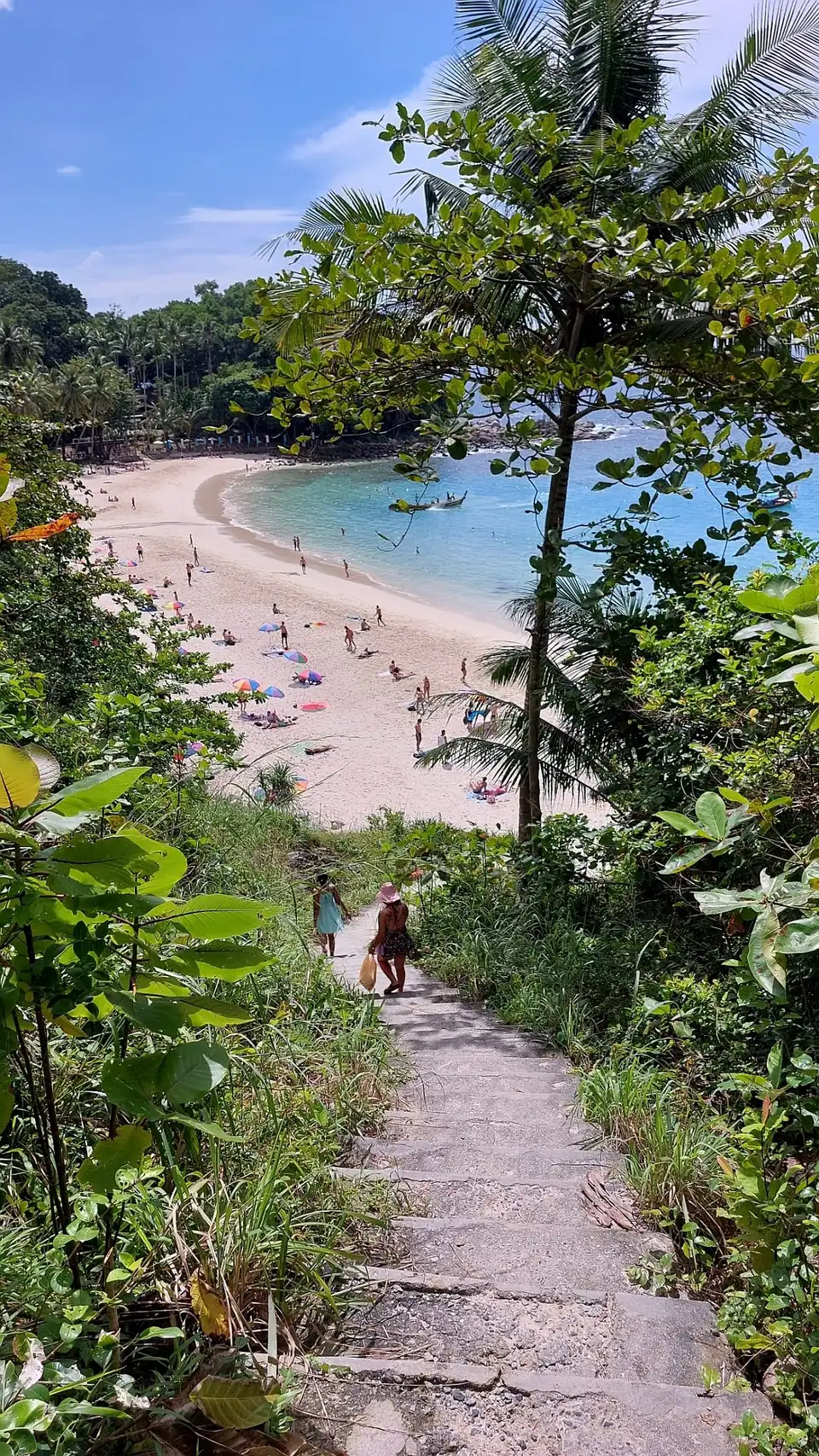 The path down through the trees, with Freedom Beach and the bay below