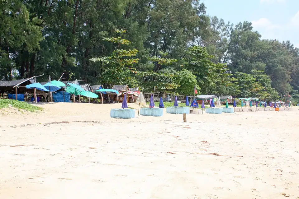 Casuarina pines running down to the sand at Nai Yang